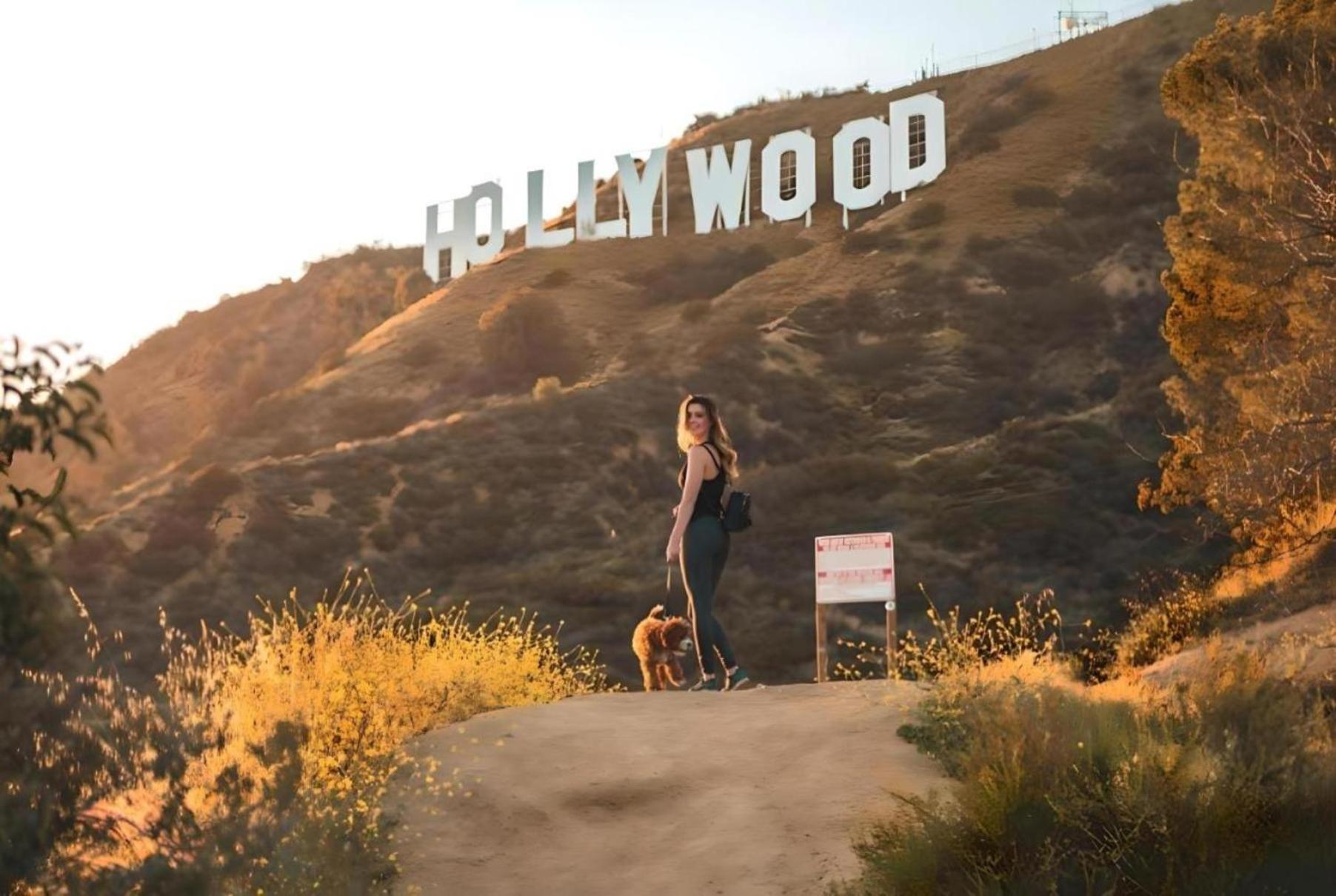 Hollywood Panoramic Views, Pool, Gym & Free Parking! Apartment