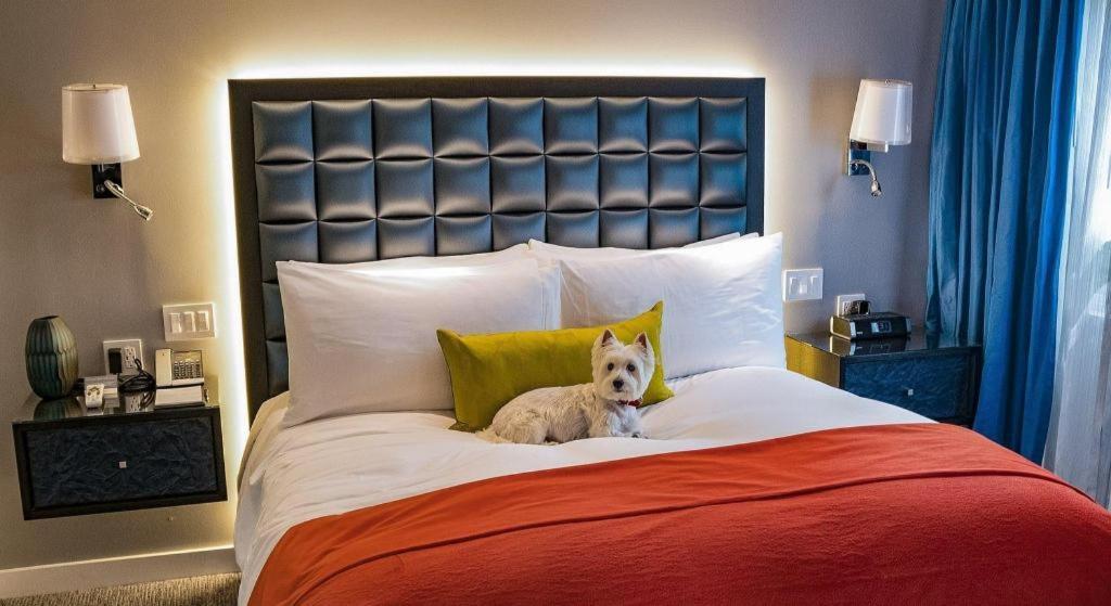 Hotel Sunset Marquis &