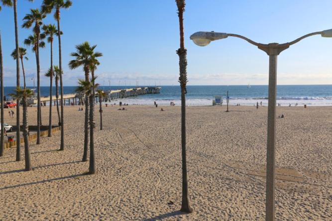 Marina Del Rey Luxury Pool, Gym, Parking, Bbq Apartment Los Angeles