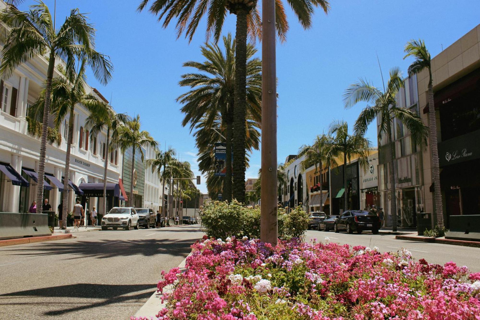 Hollywood Chic With Free Parking Apartment Los Angeles