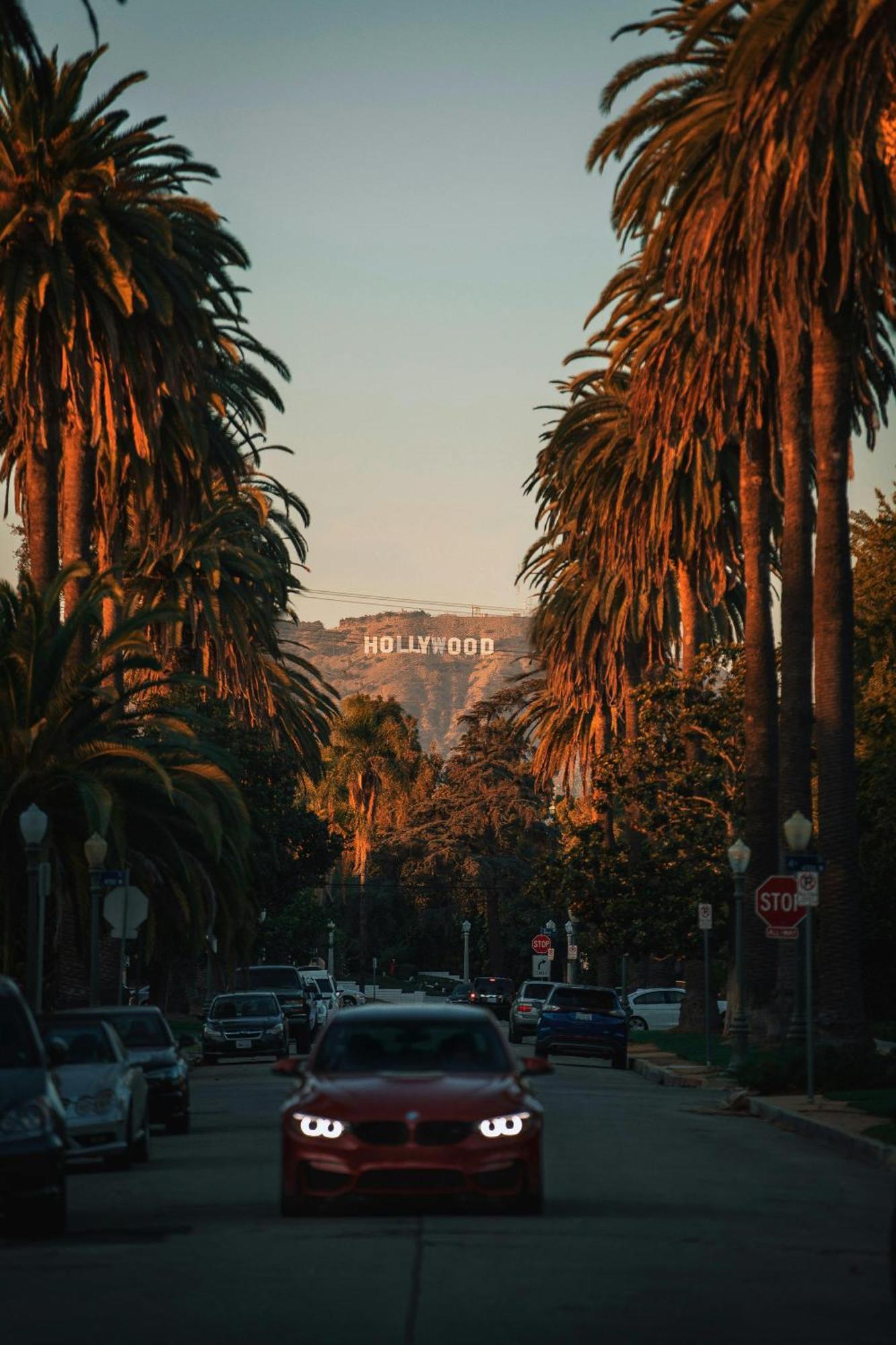Apartment Hollywood Chic With Free Parking