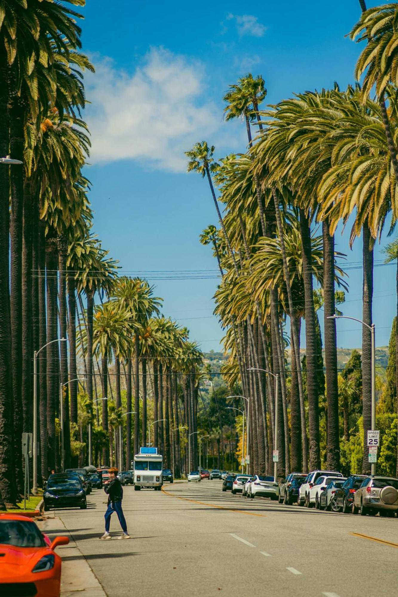 Hollywood Chic With Free Parking *