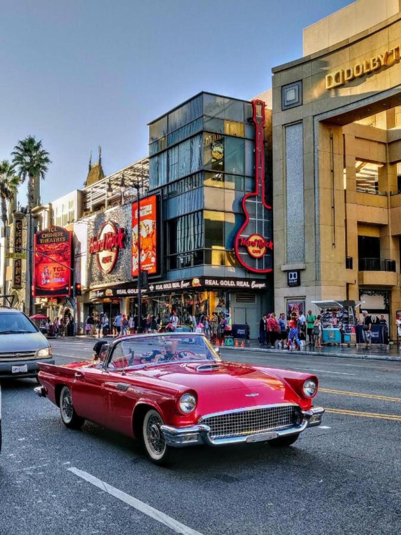Hollywood Panoramic Views, Pool, Gym & Free Parking! *