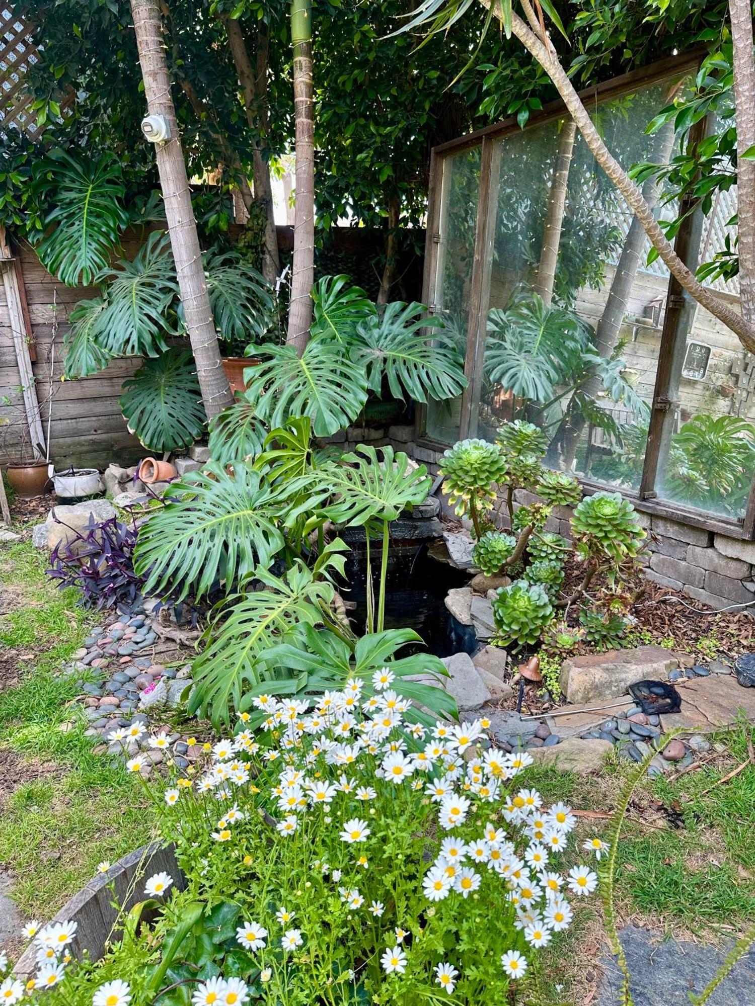 Holiday home Oasis Hollywood *