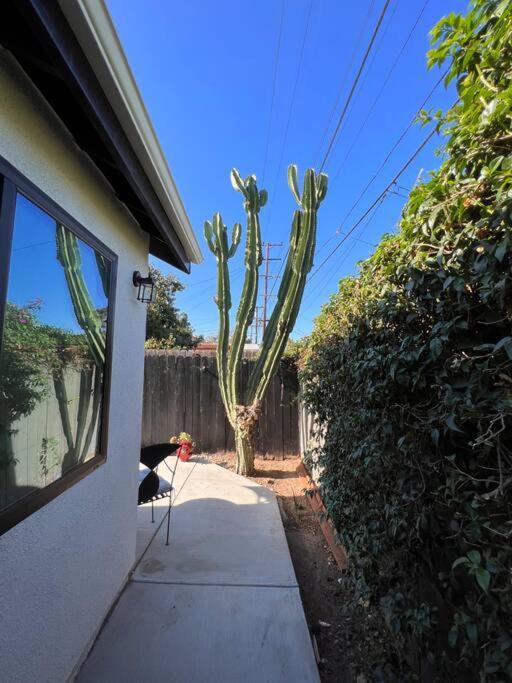 Lovely Little Close To Forum,sofi,lax Apartment