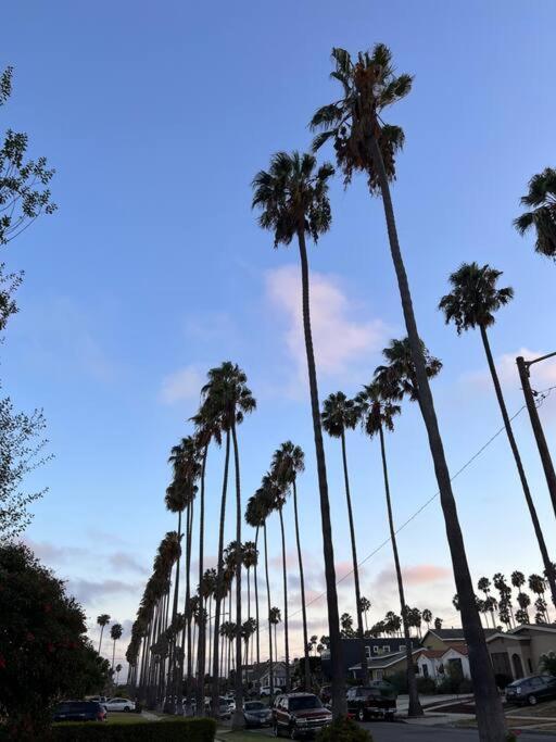 Lovely Little Close To Forum,sofi,lax Apartment *