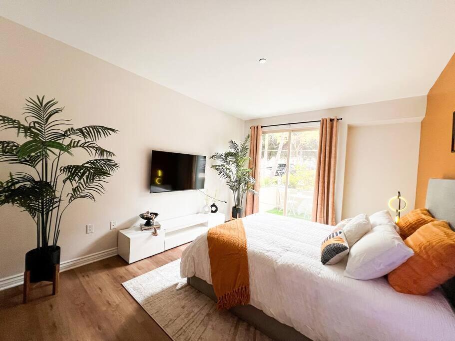 2 Bd 2 Ba In The Heart Of Encino 104 Apartment Los Angeles