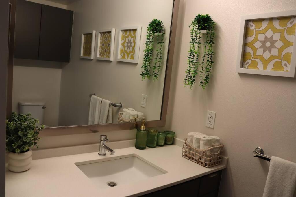 Artemis- Hollywood Hills View Gym, Pool, Free Parking *