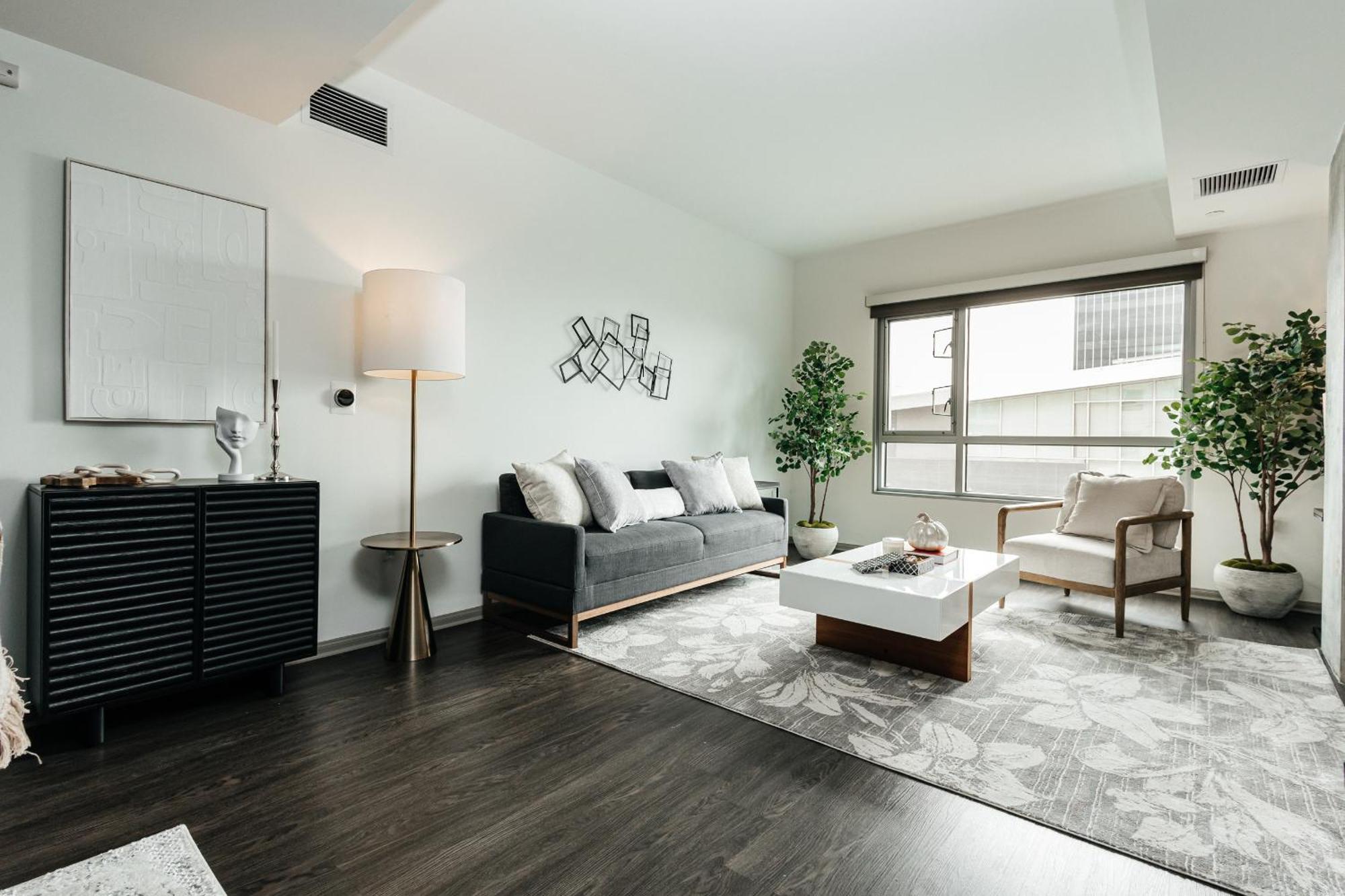 Hollywood Designer Los Angeles