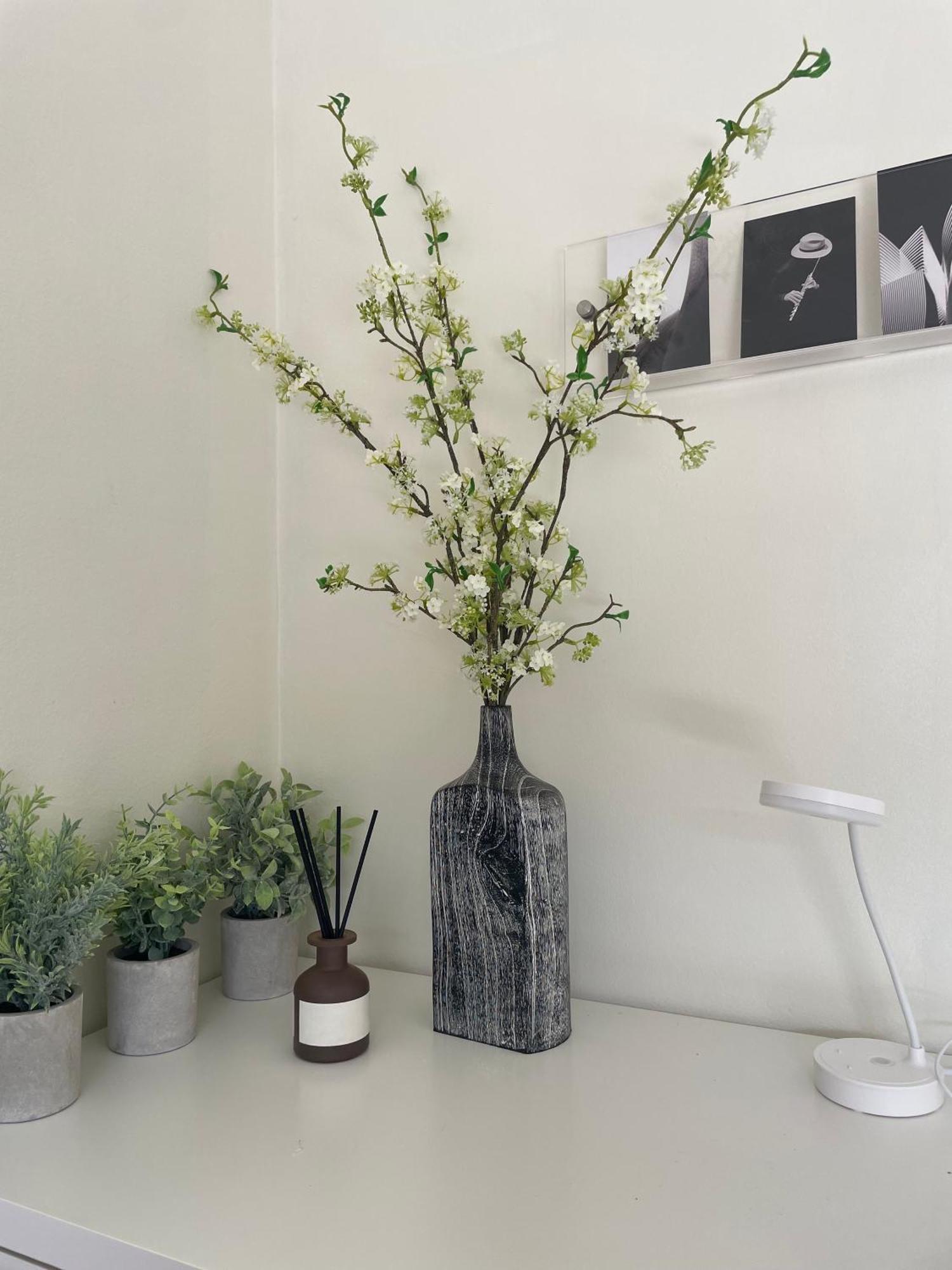 Coastal Comfort Retreat In West La Homestay Los Angeles