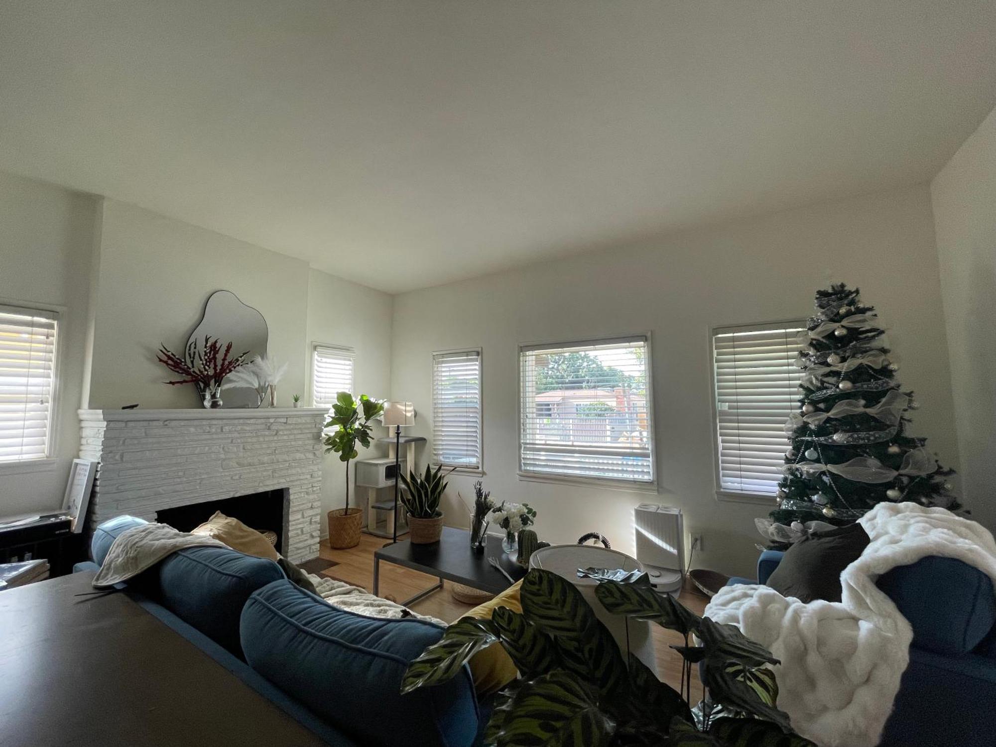 Coastal Comfort Retreat In West La Homestay Los Angeles