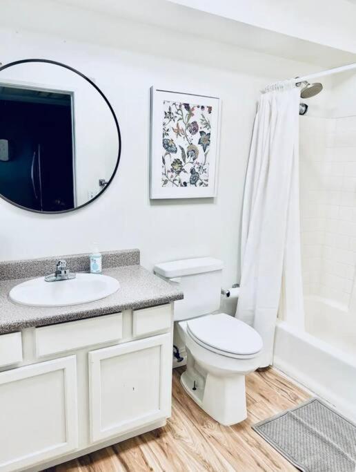 Sunny Santa Monica Retreat One Bedroom Apartment *