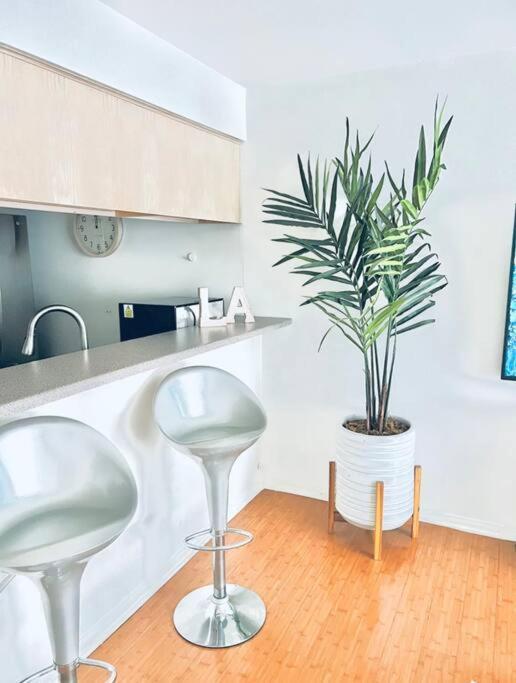 Sunny Santa Monica Retreat One Bedroom Apartment