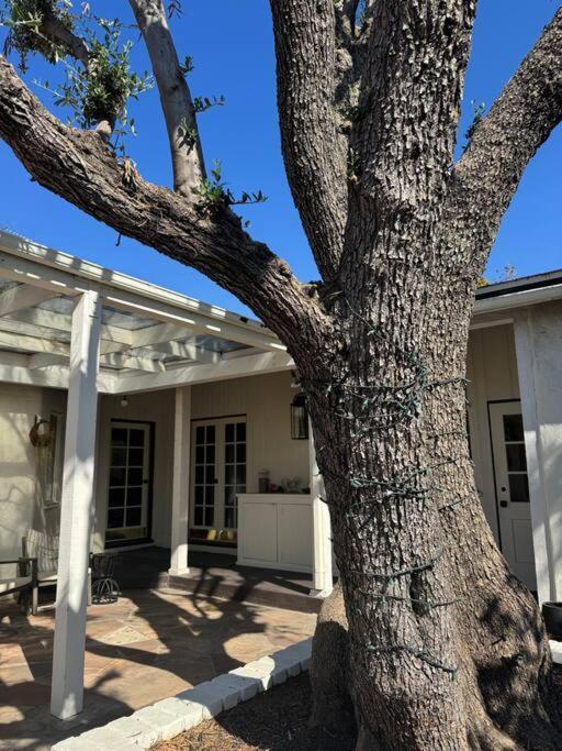 The Beverly Hills Guest Apartment Los Angeles