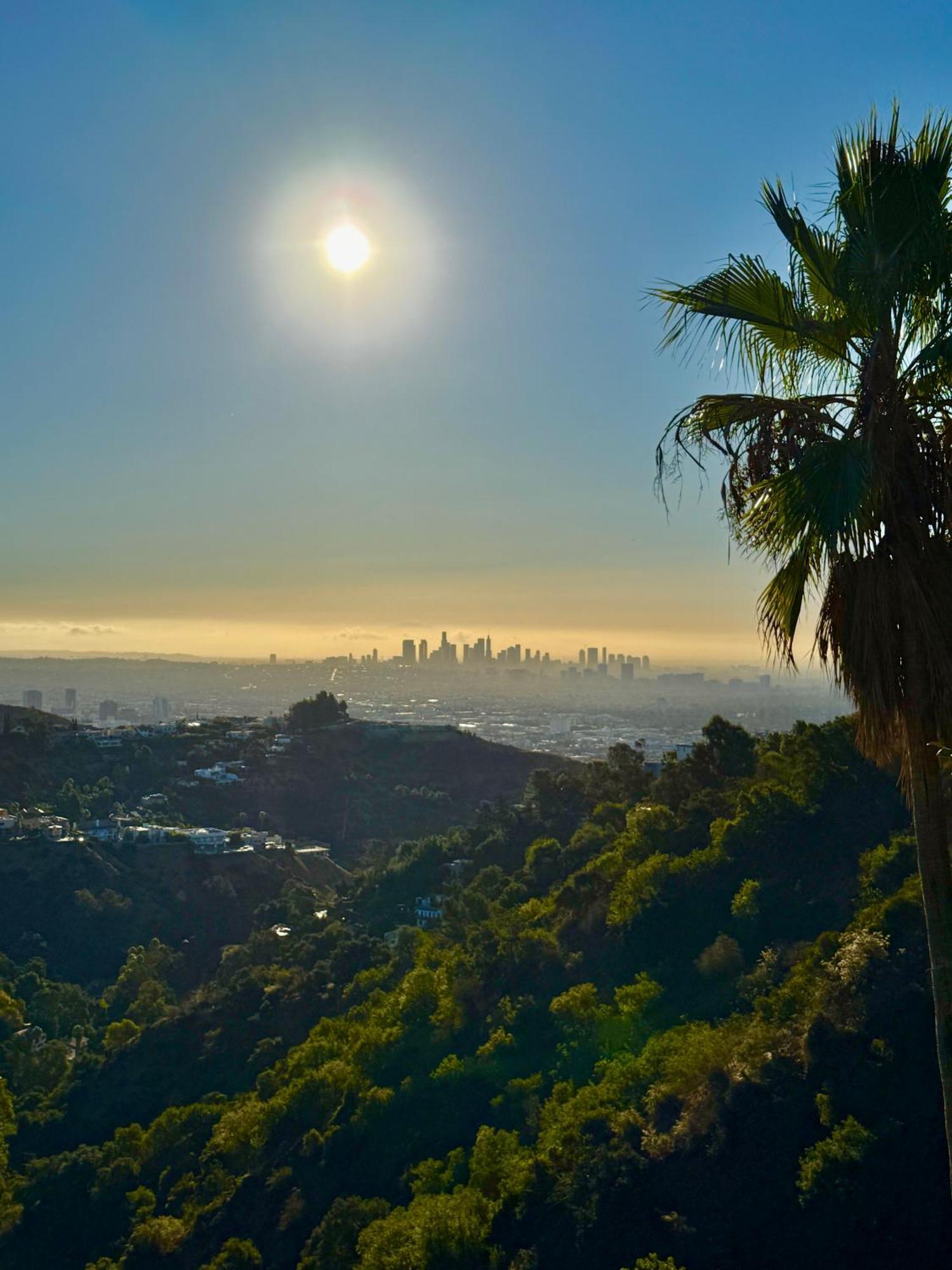 Hollywood Hills Jetliner Views At 1080 Hollywood * Los Angeles