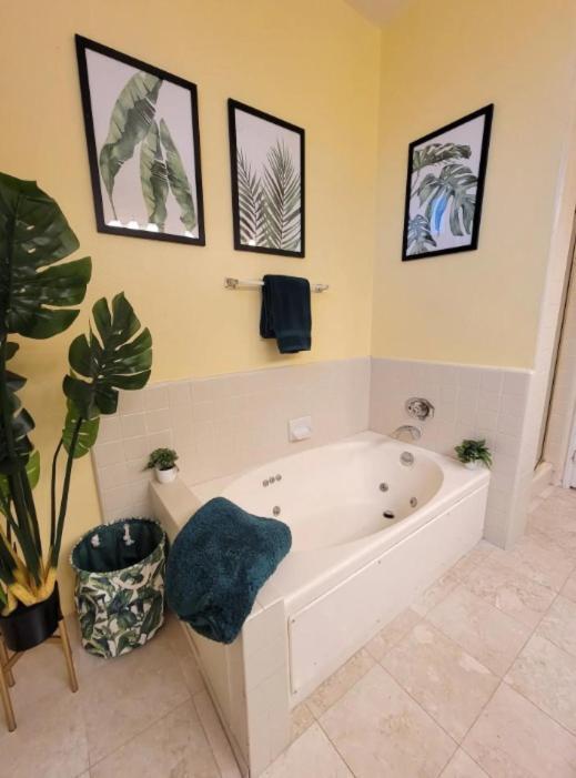 Spacious With Two Queen Beds Near Beverlywood 5 Minutes To Rodeo Drive Apartment Los Angeles