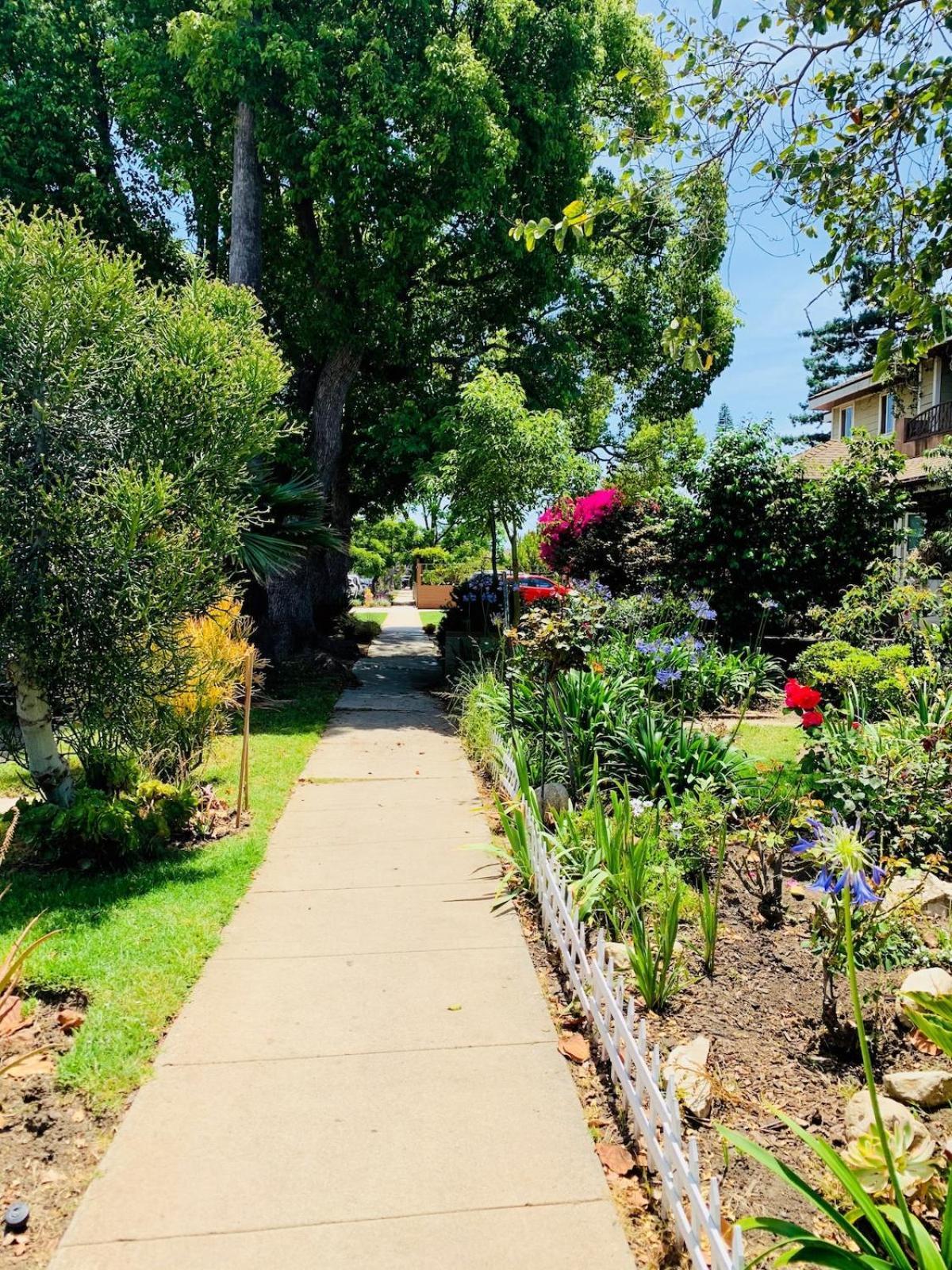 Del Rey/culver Dream Oasis Homestay Los Angeles