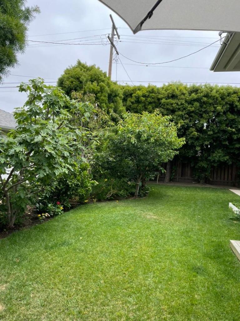 Del Rey/culver Dream Oasis Los Angeles