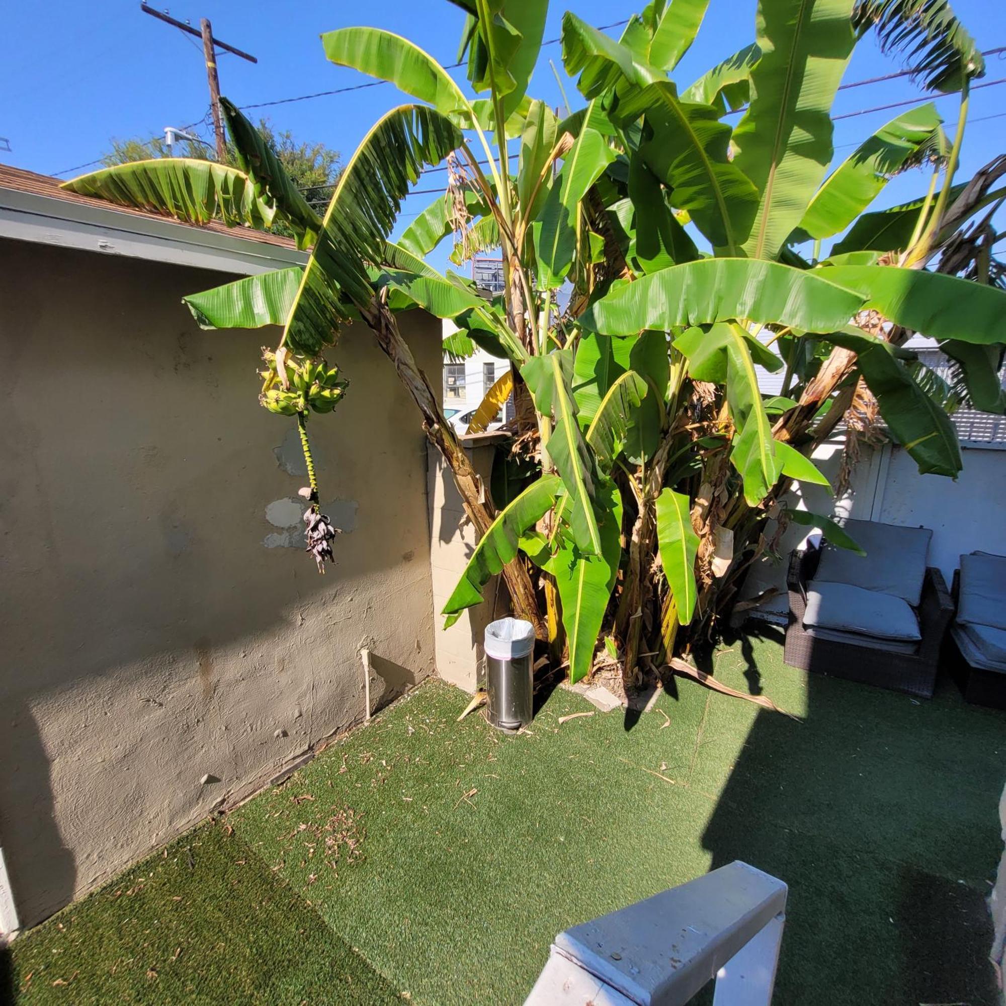 La Getaway Oasis Apartment Los Angeles
