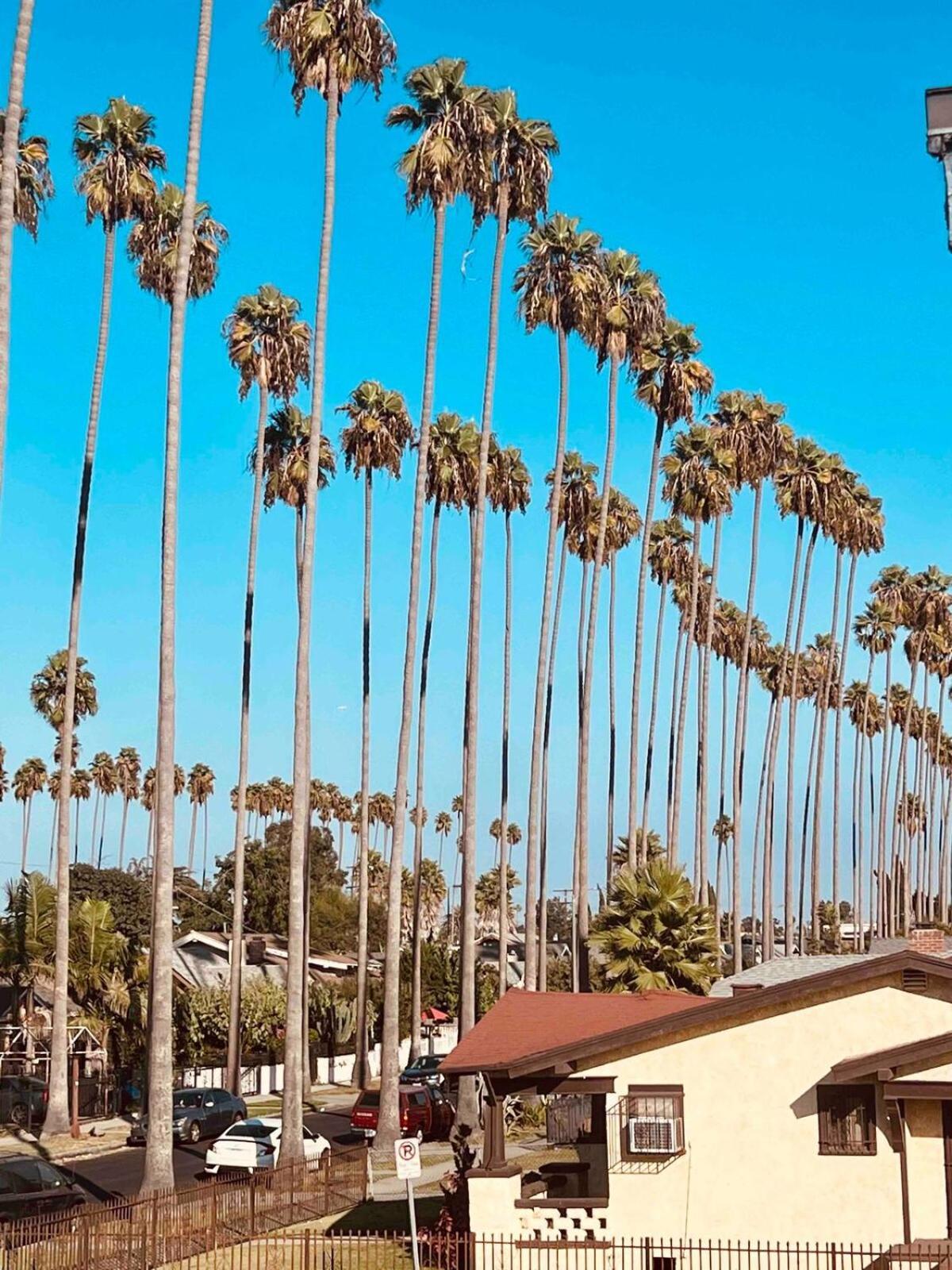 Beautiful Private Upstairs - Usc, Lax, Sofi