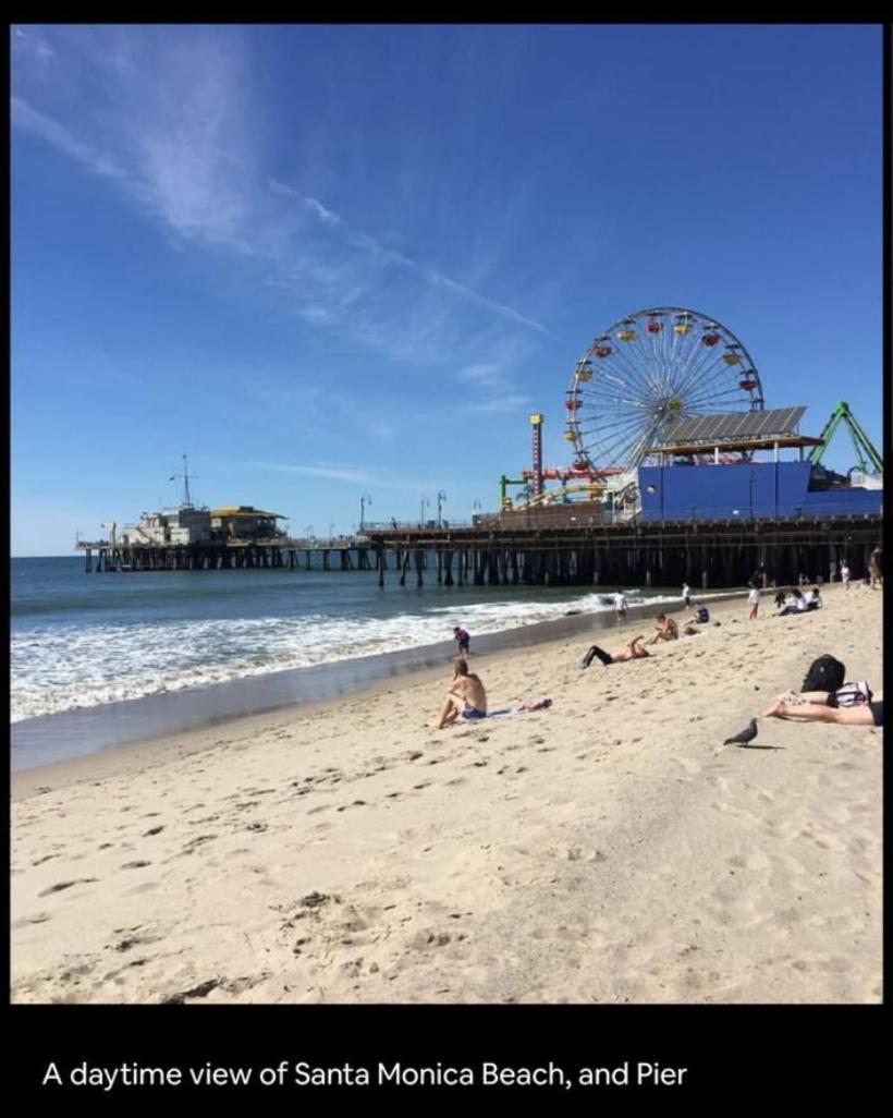 Cozy, Luxurious, Oasis, With Free Parking Apartment Los Angeles