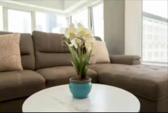 Stunning 3 Bedroom High-rise With Pool, Spa, And Rooftop Views