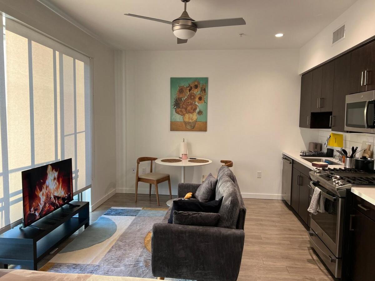 Santa Monica Bright With Stunning View