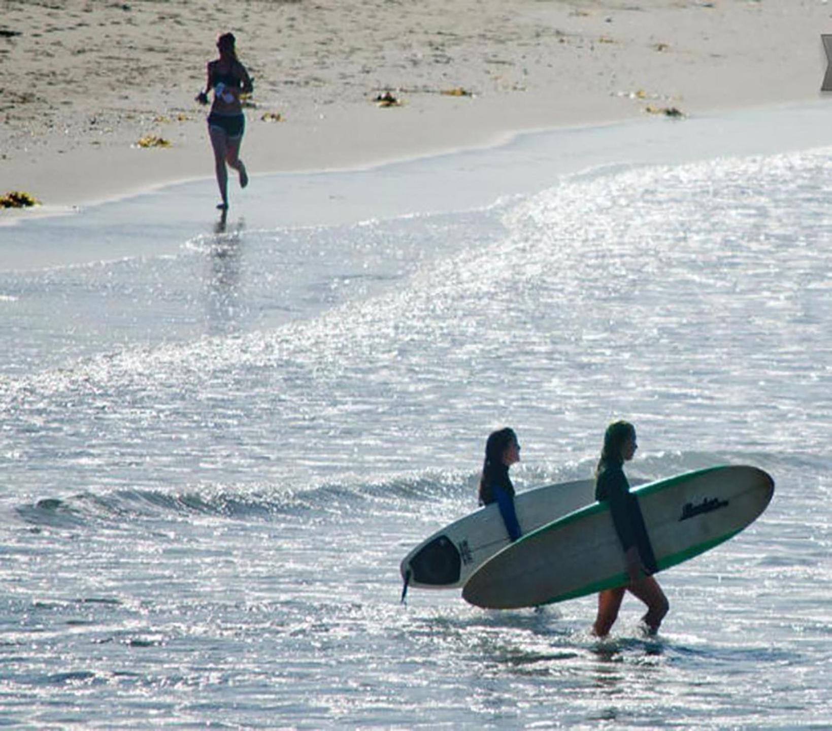 Apartment Venice Monthly Rents Los Angeles
