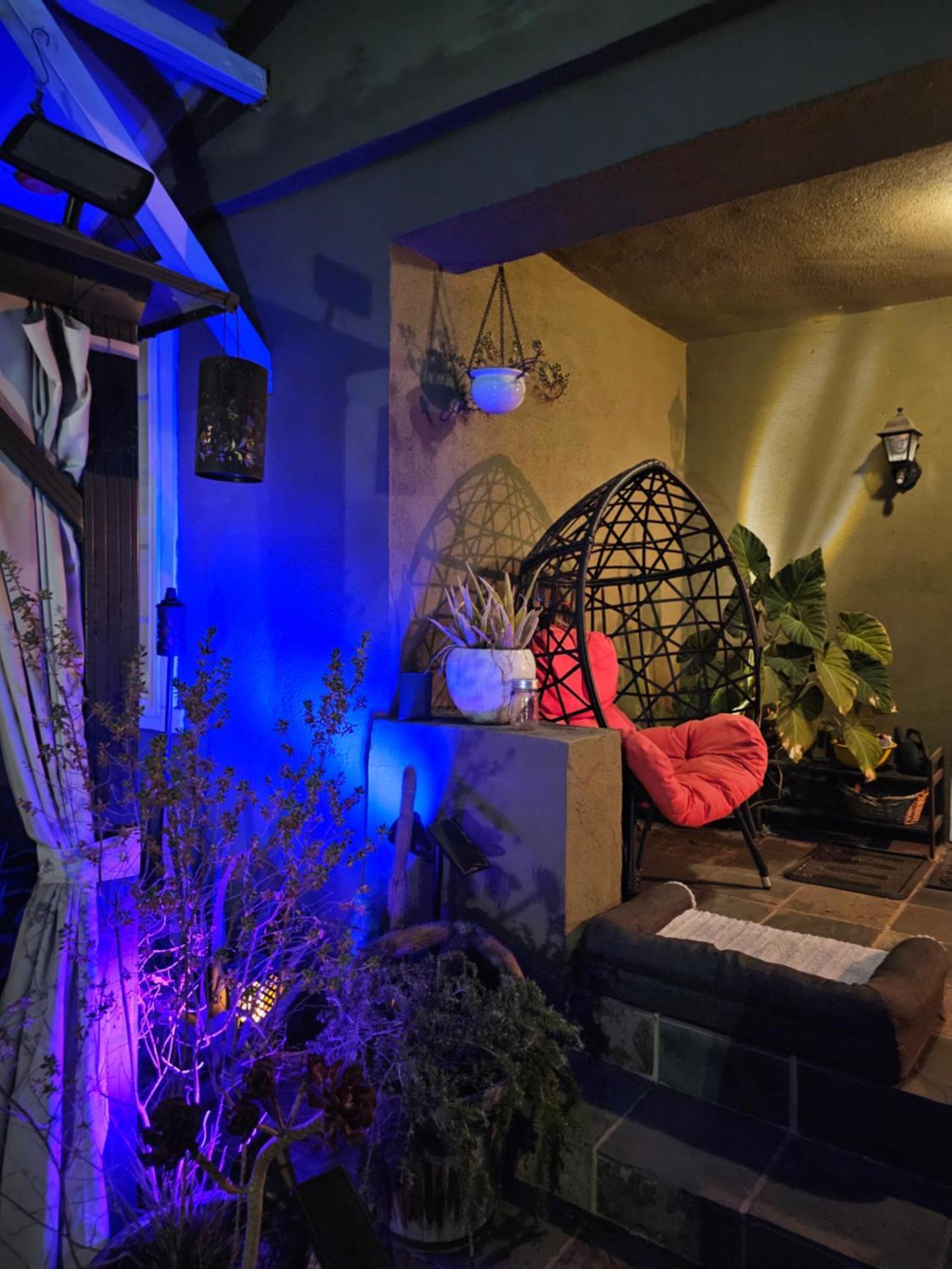Tranquility At The House Of Alchemy Hollywood Homestay *