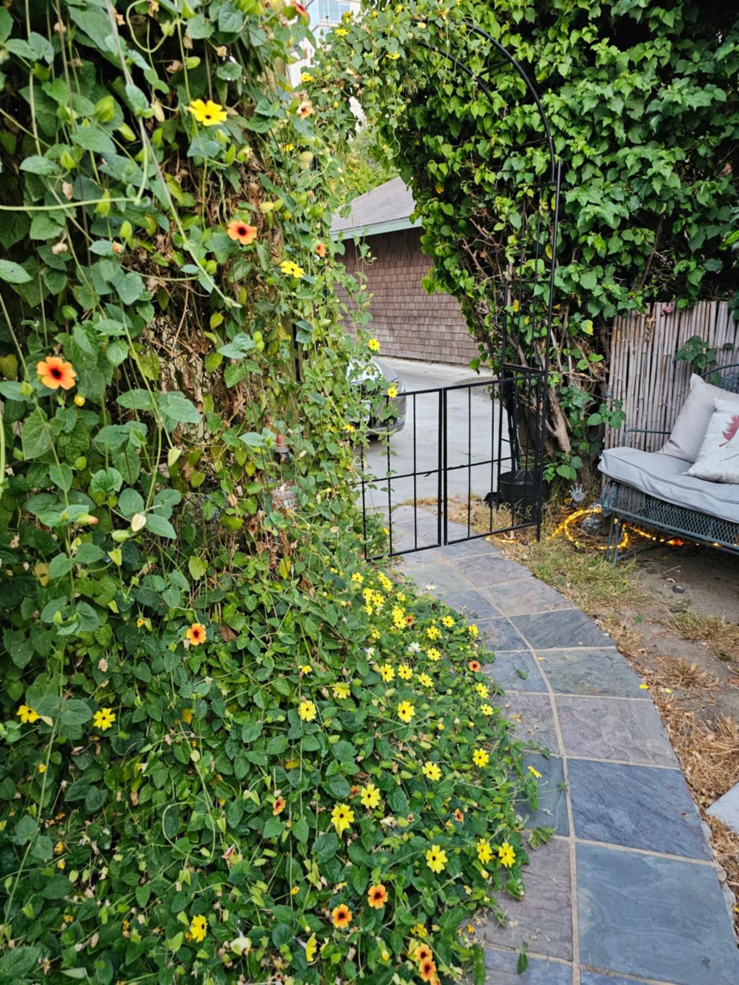Homestay Tranquility At The House Of Alchemy Hollywood Los Angeles
