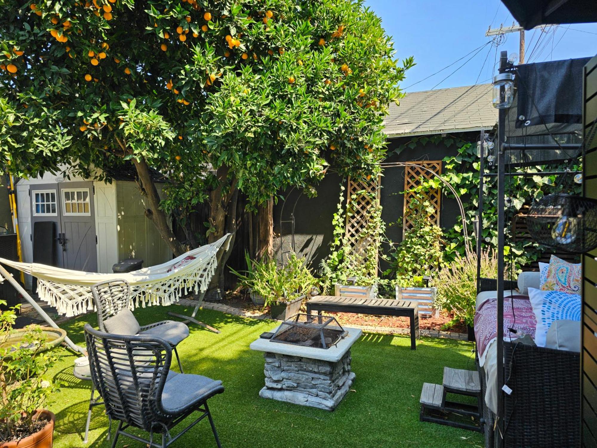 Tranquility At The House Of Alchemy Hollywood Homestay *