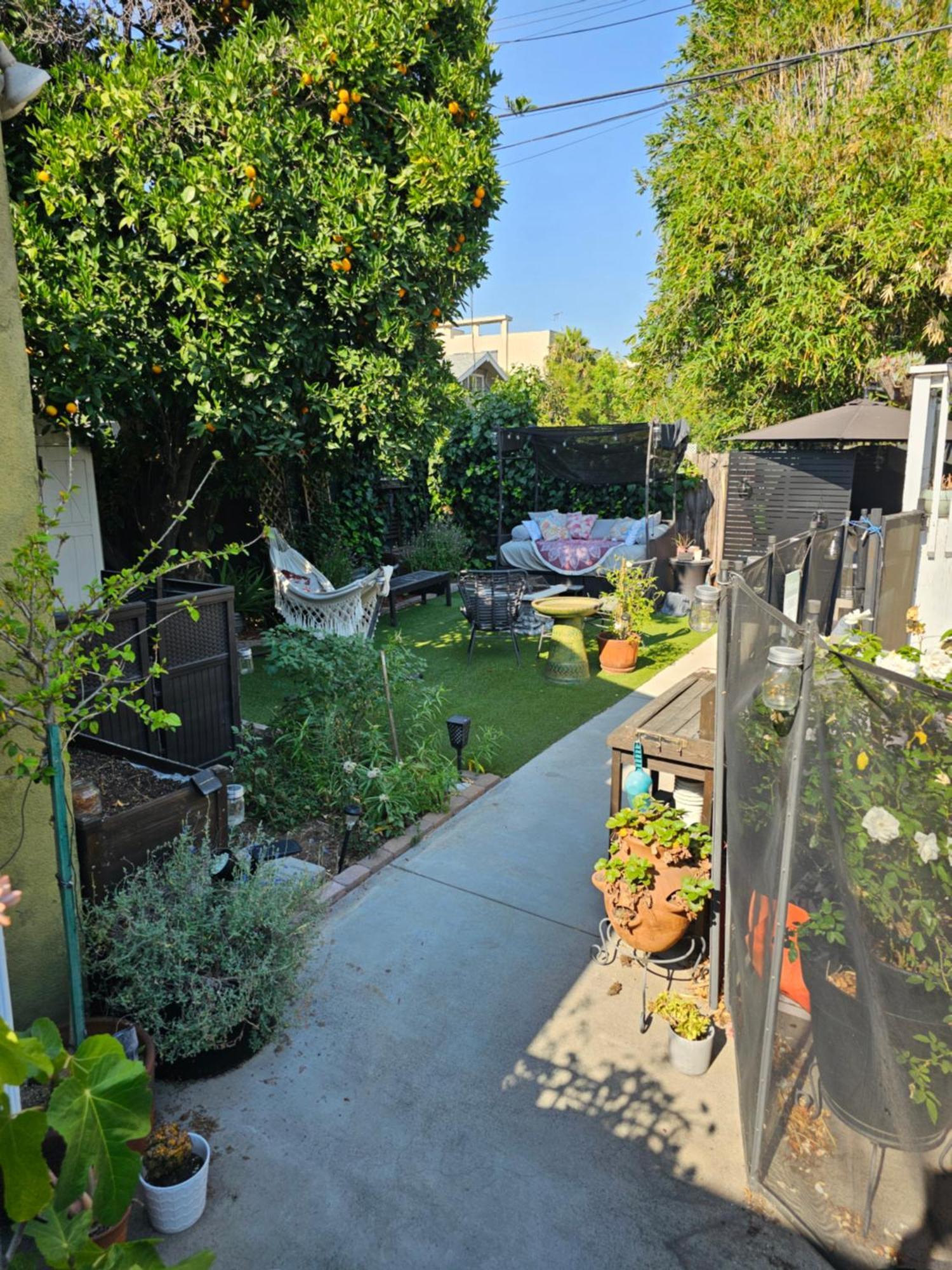Tranquility At The House Of Alchemy Hollywood Homestay *