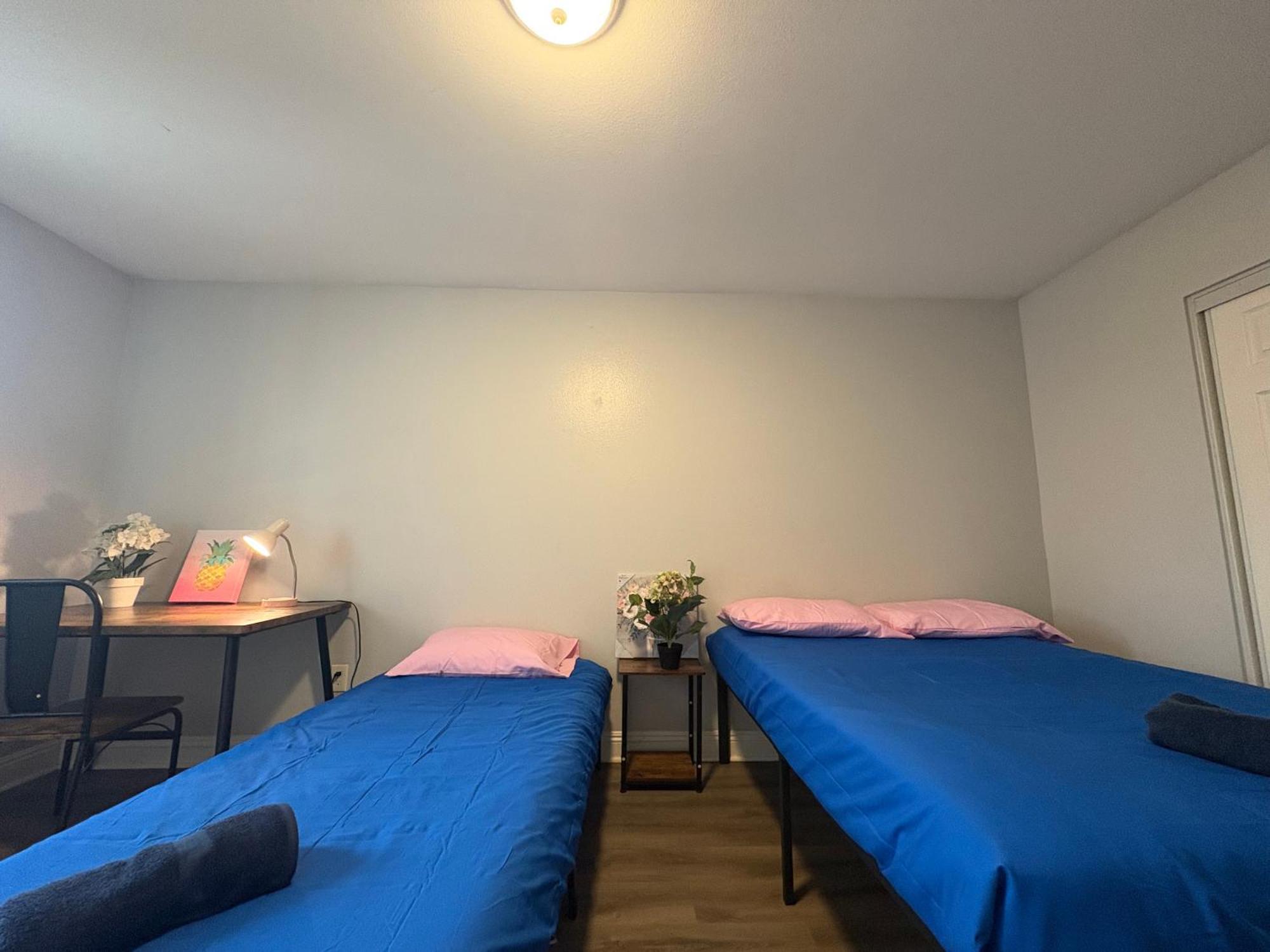 The Blue Near Usc, Dtla Albergue Los Angeles