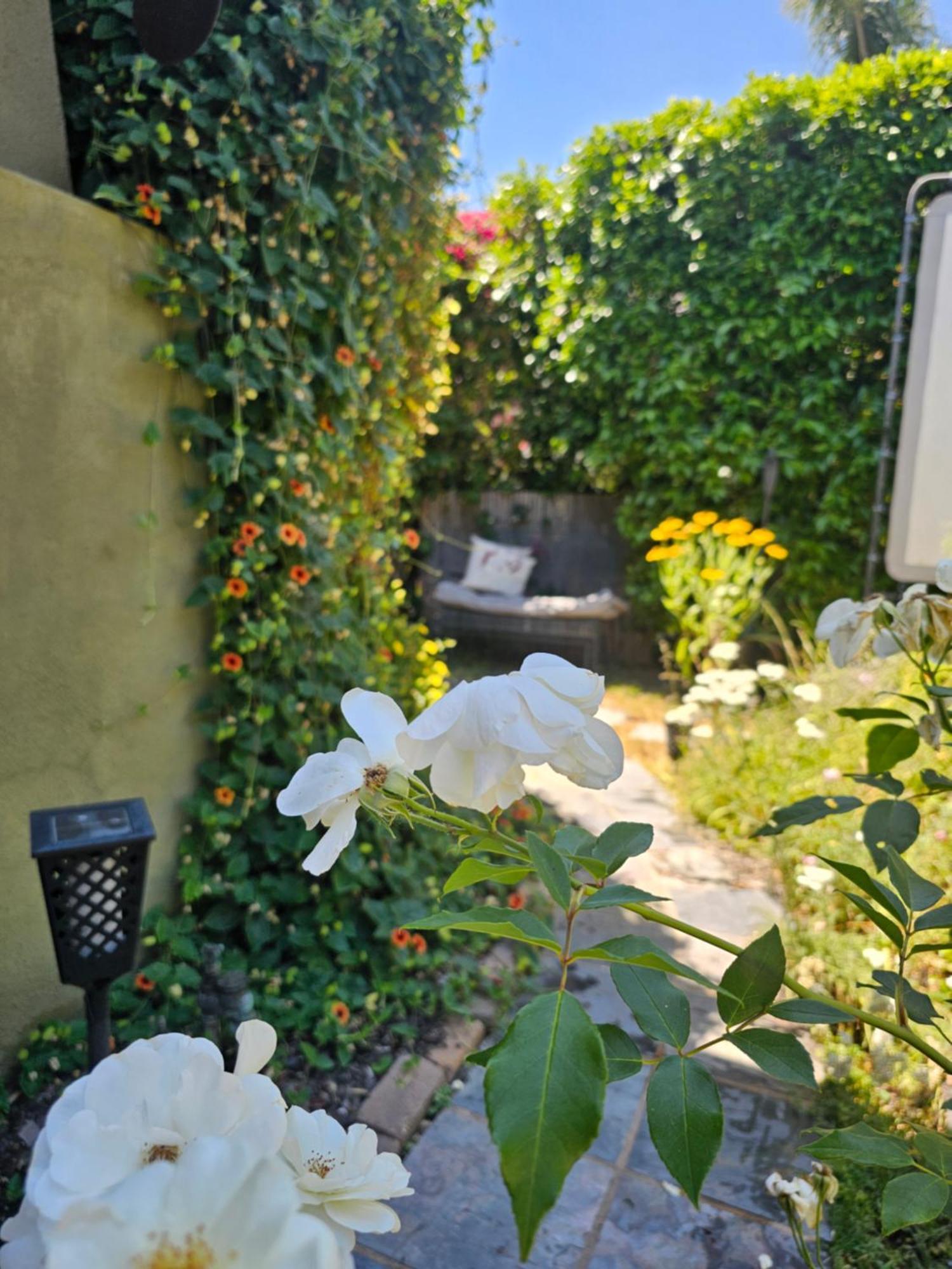 Tranquility At The House Of Alchemy Hollywood Los Angeles