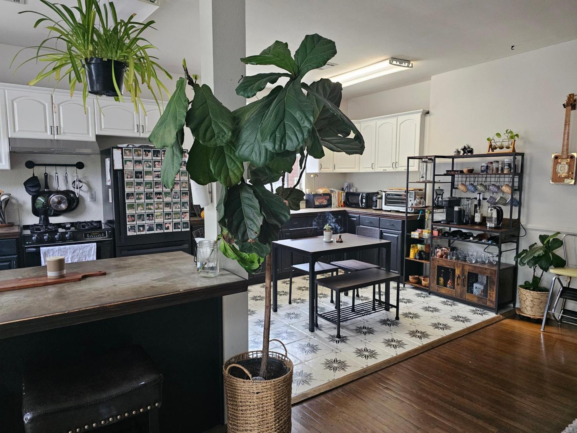 Tranquility At The House Of Alchemy Hollywood