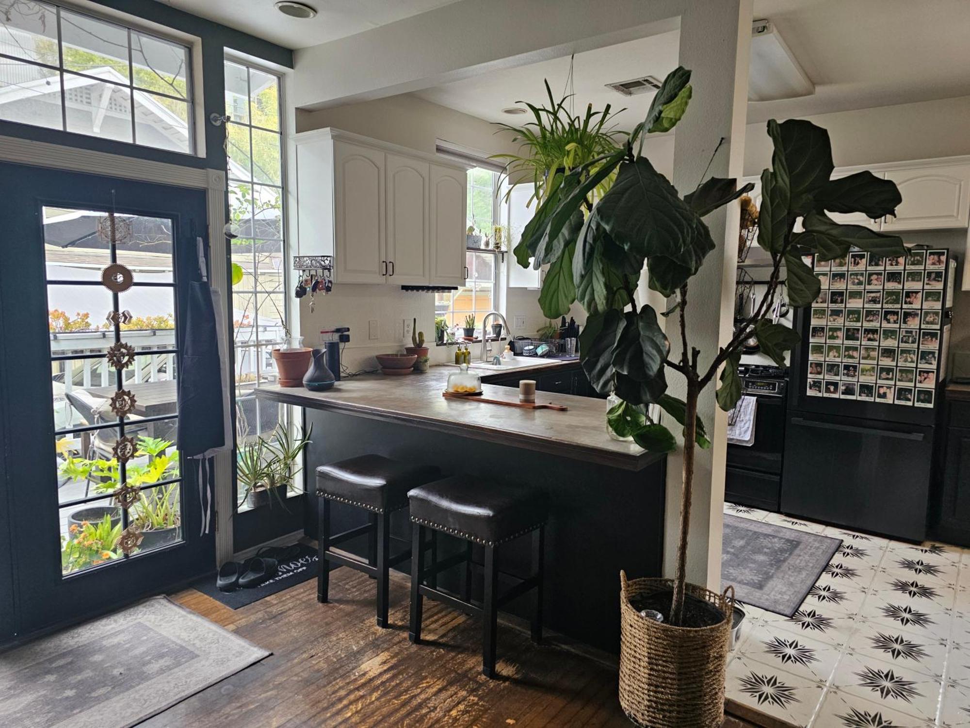 Homestay Tranquility At The House Of Alchemy Hollywood
