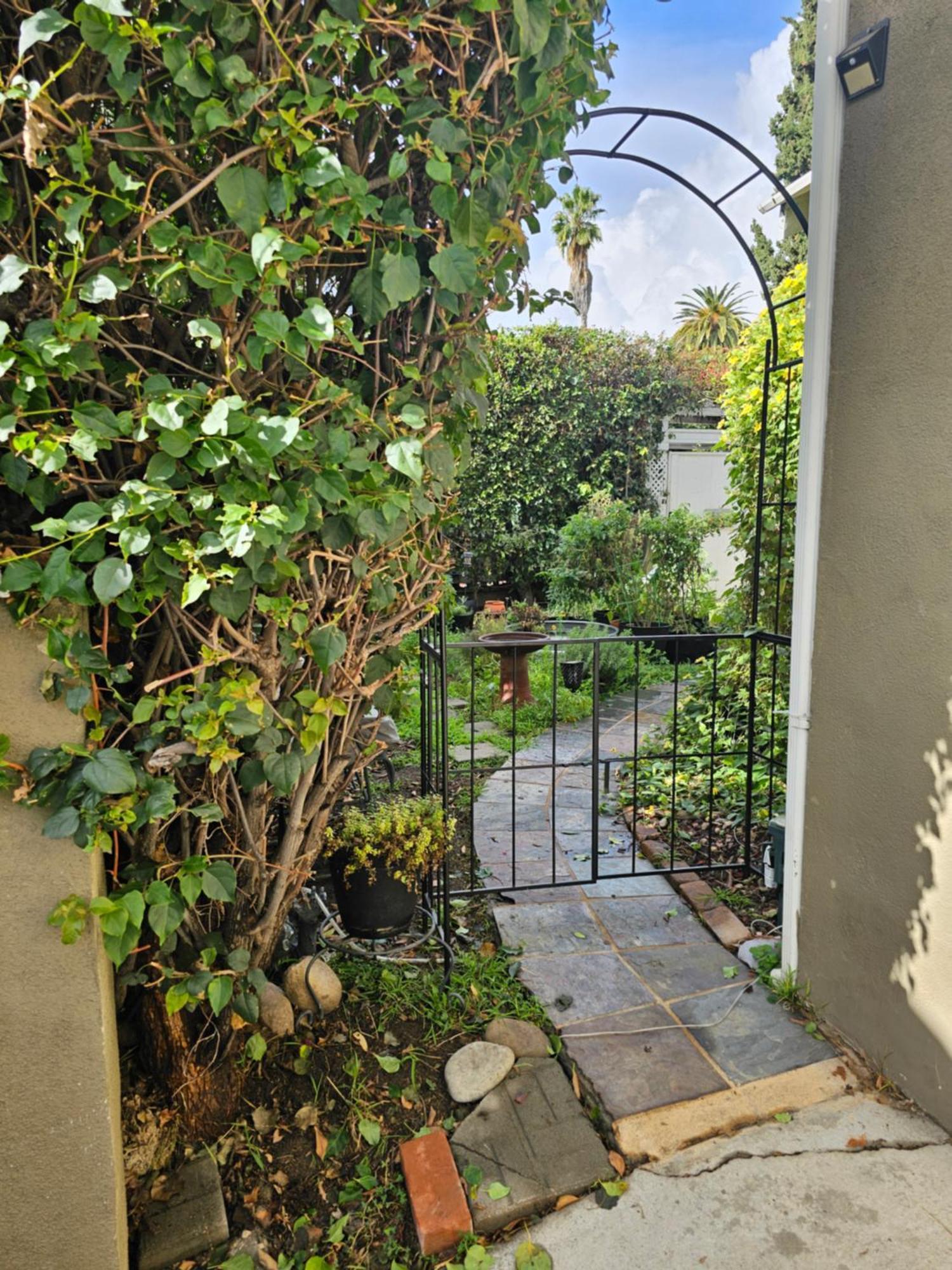 Tranquility At The House Of Alchemy Hollywood * Los Angeles