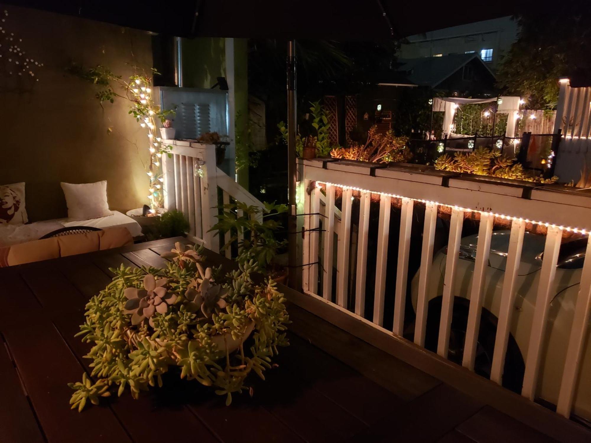 Homestay Tranquility At The House Of Alchemy Hollywood *