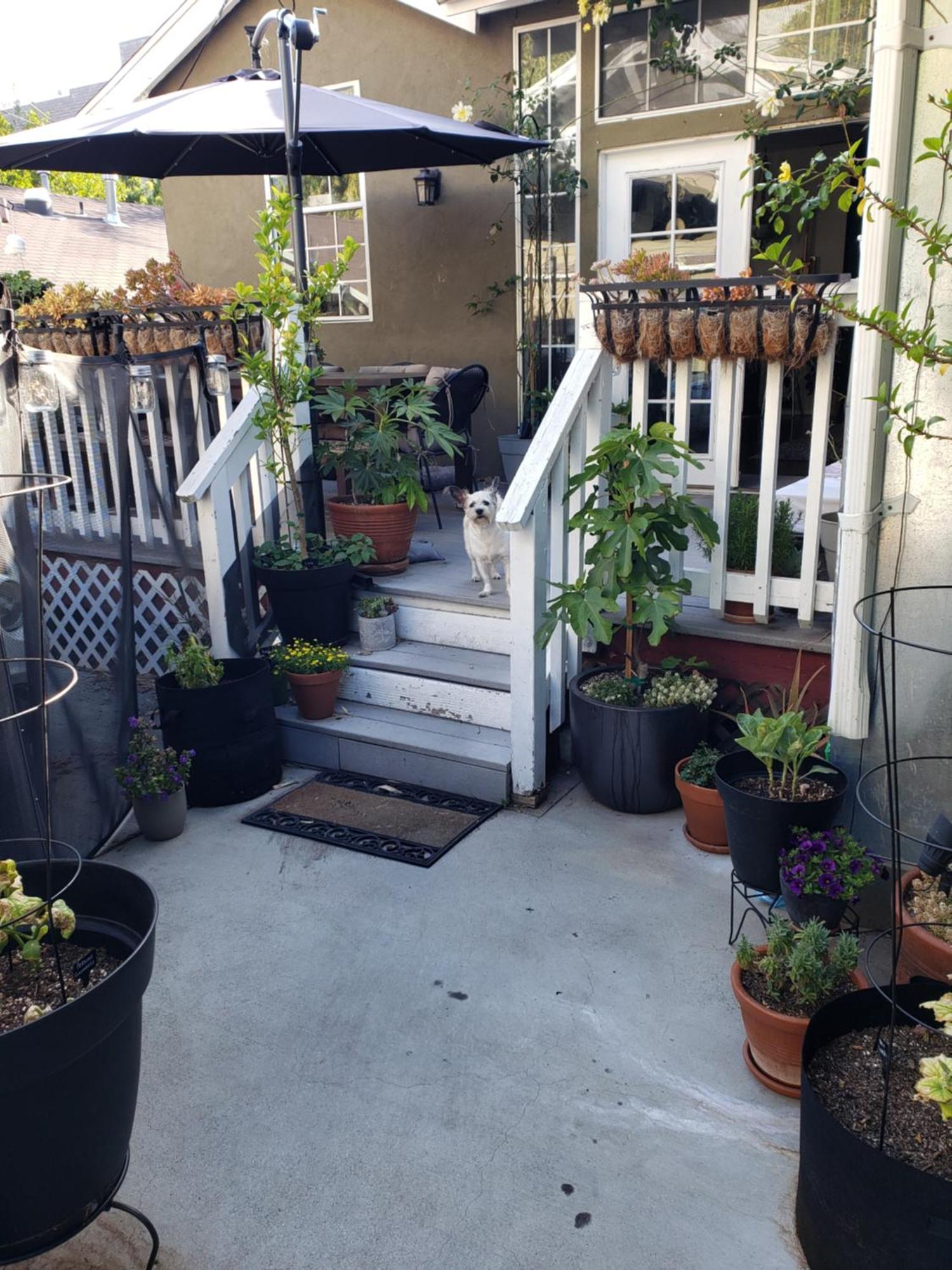 Tranquility At The House Of Alchemy Hollywood * Los Angeles