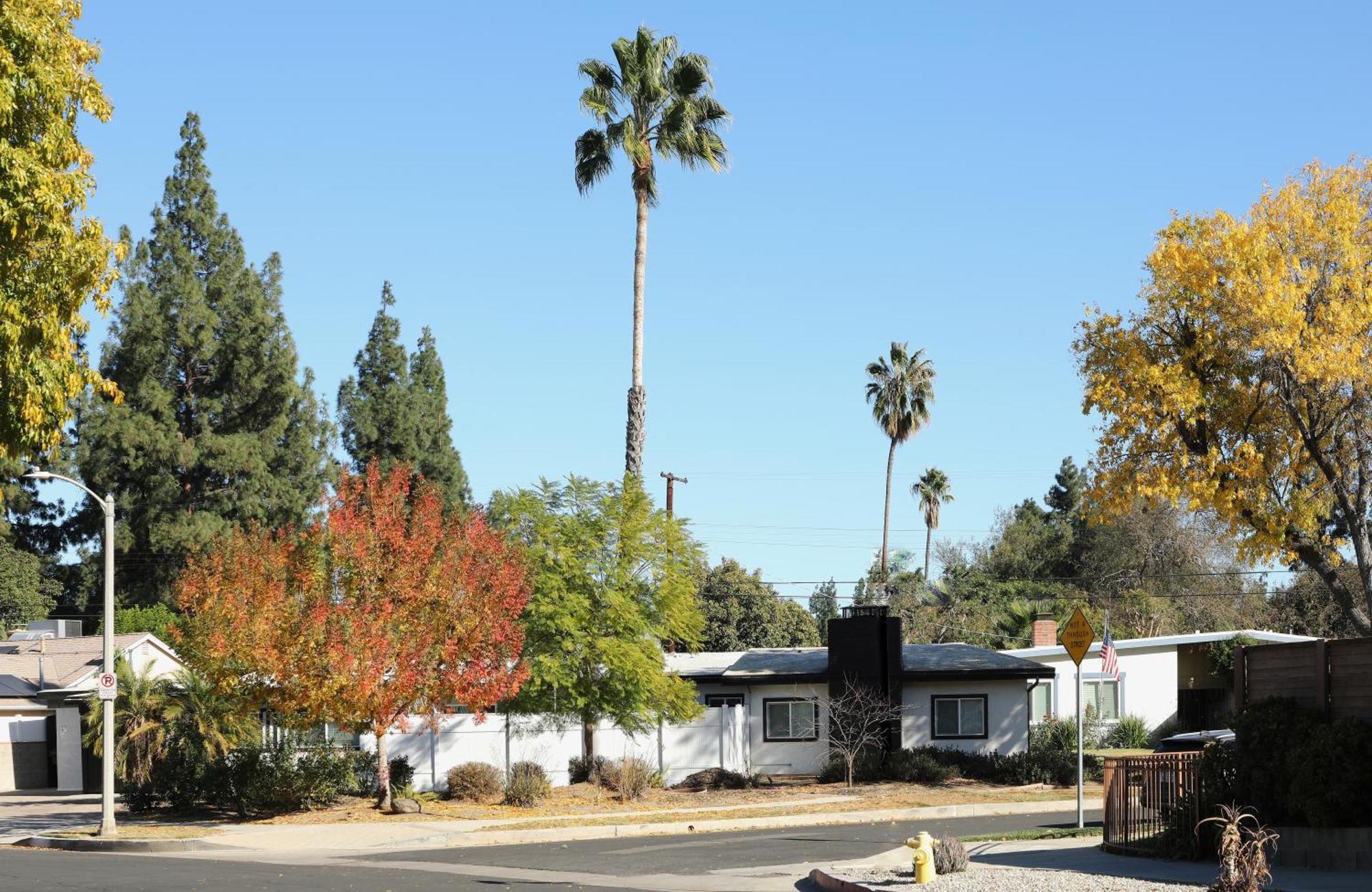 Encino Oasis * Los Angeles