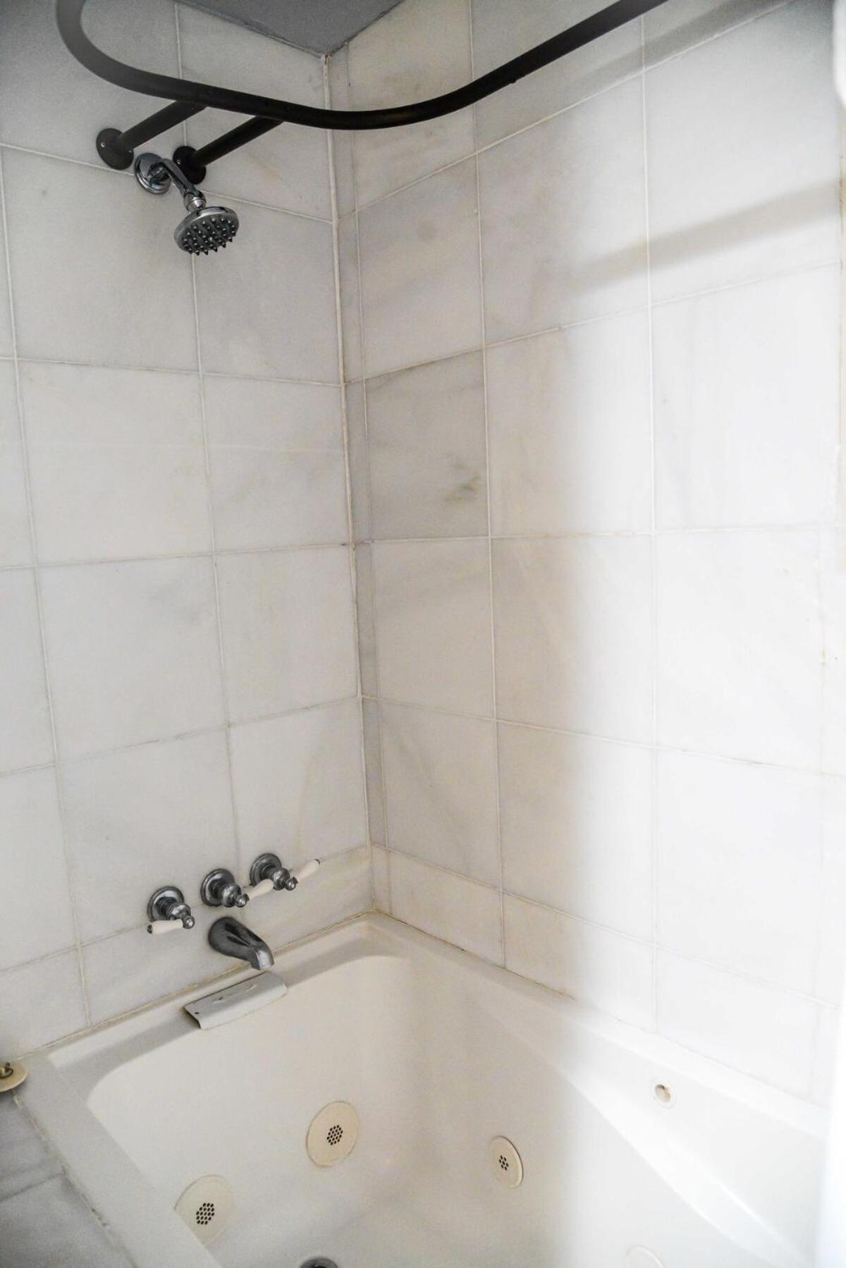 Apartment King Oasis - Steps To With Garden Patio! *