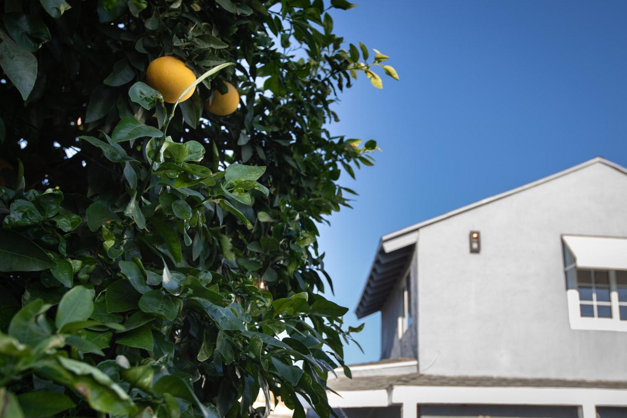 Sunny Socal Escape 3br 2ba Bright With Pool Holiday home