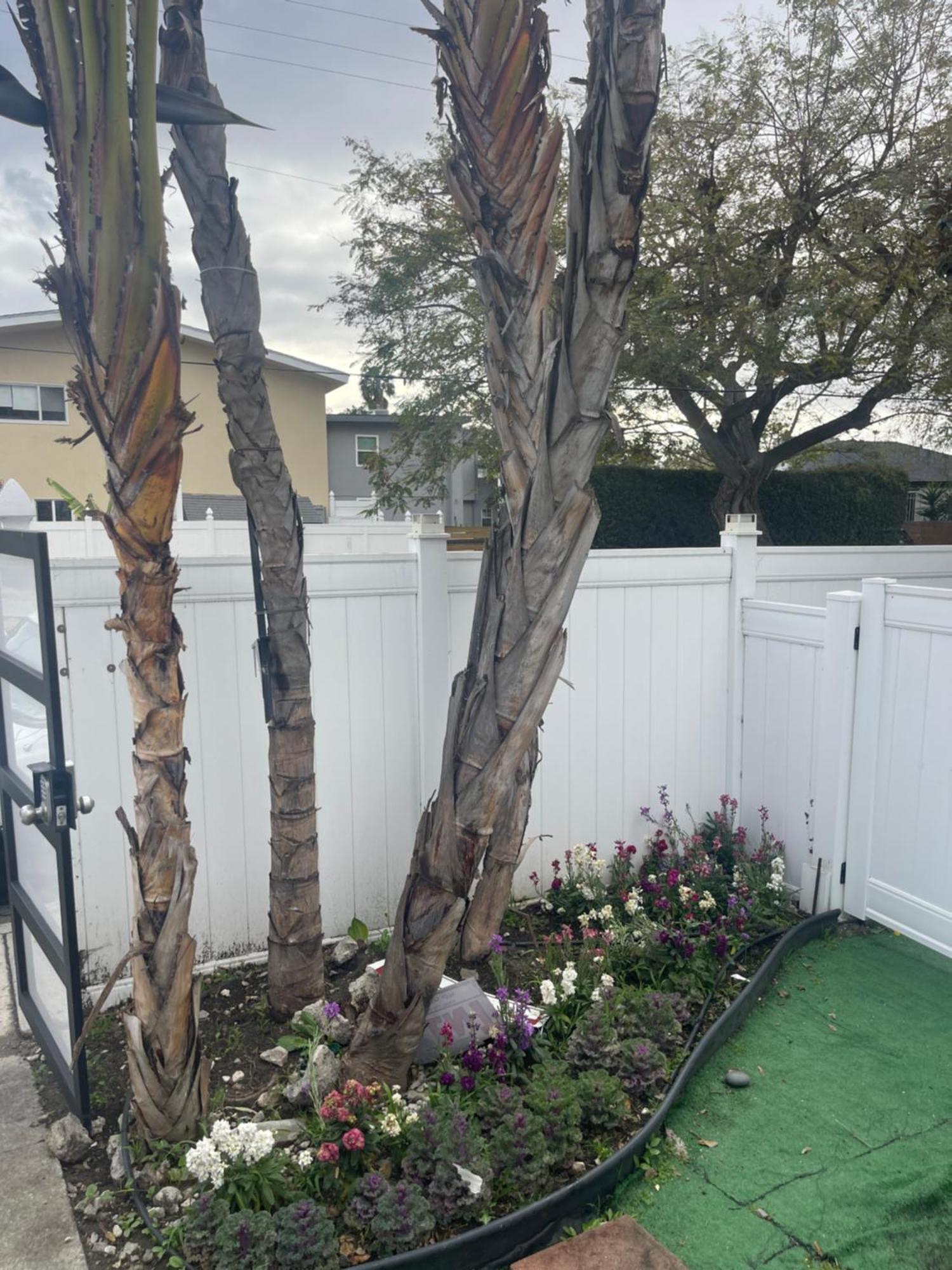 West La Chariton * Los Angeles