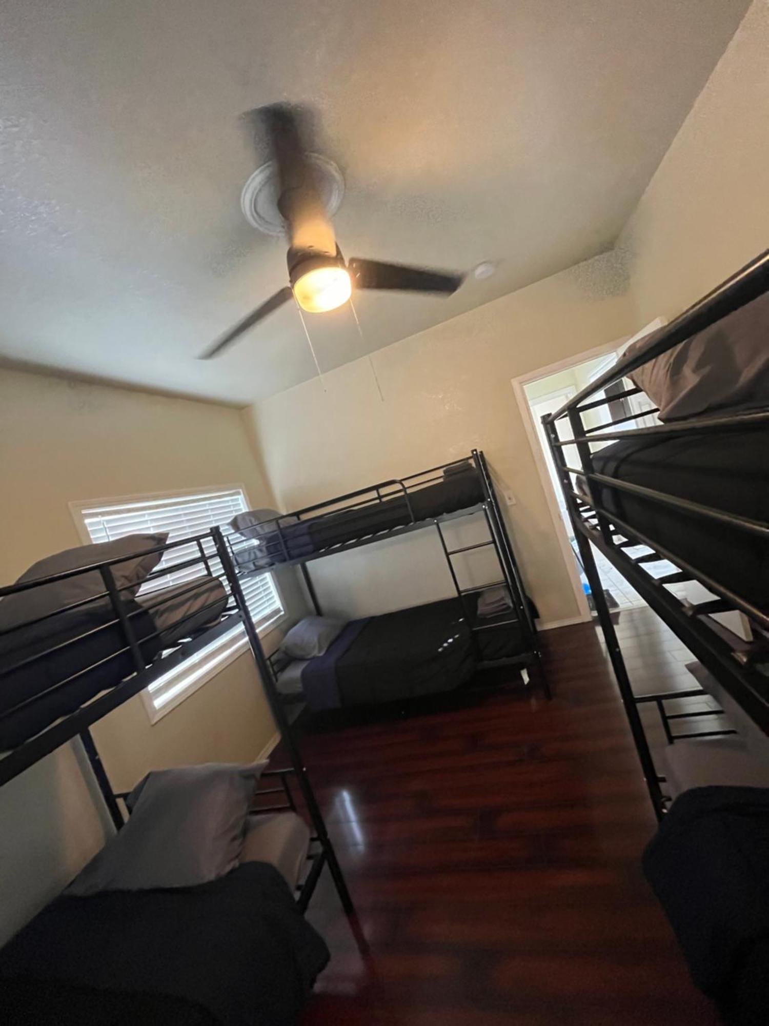 Hostel The Concrete Jungle On Crawford *