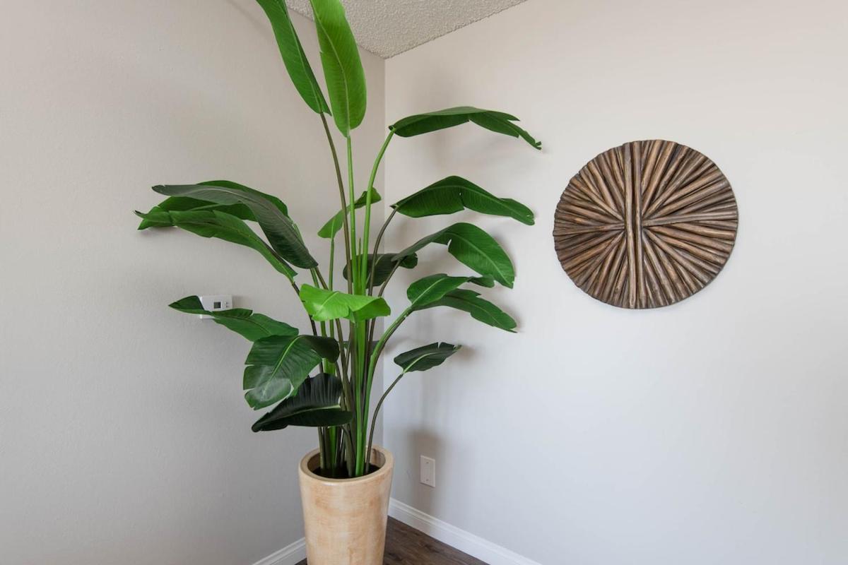 Apartment 2br Hollywood With Rooftop Pool & Stunning Views