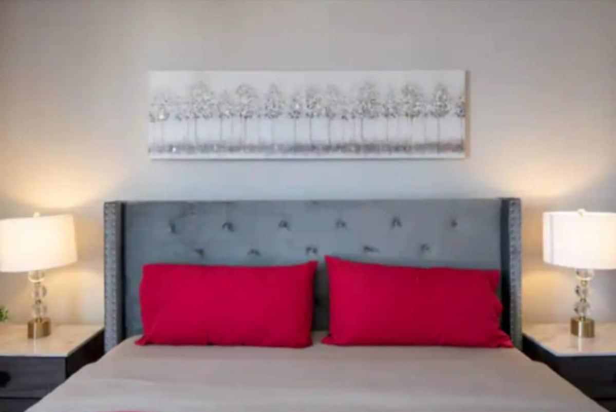 Hollywood Heights 2br With Rooftop Pool And Stunning Views Apartment