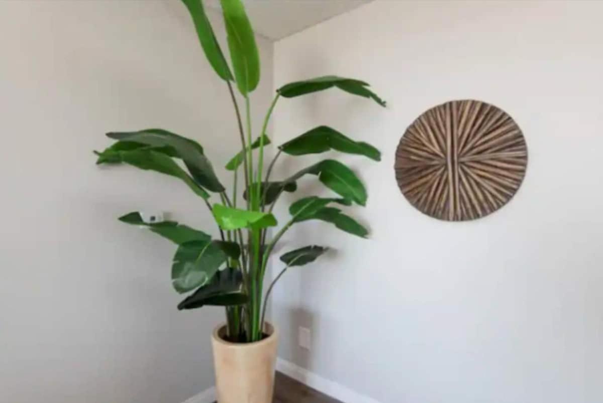 Apartment Hollywood Heights 2br With Rooftop Pool And Stunning Views