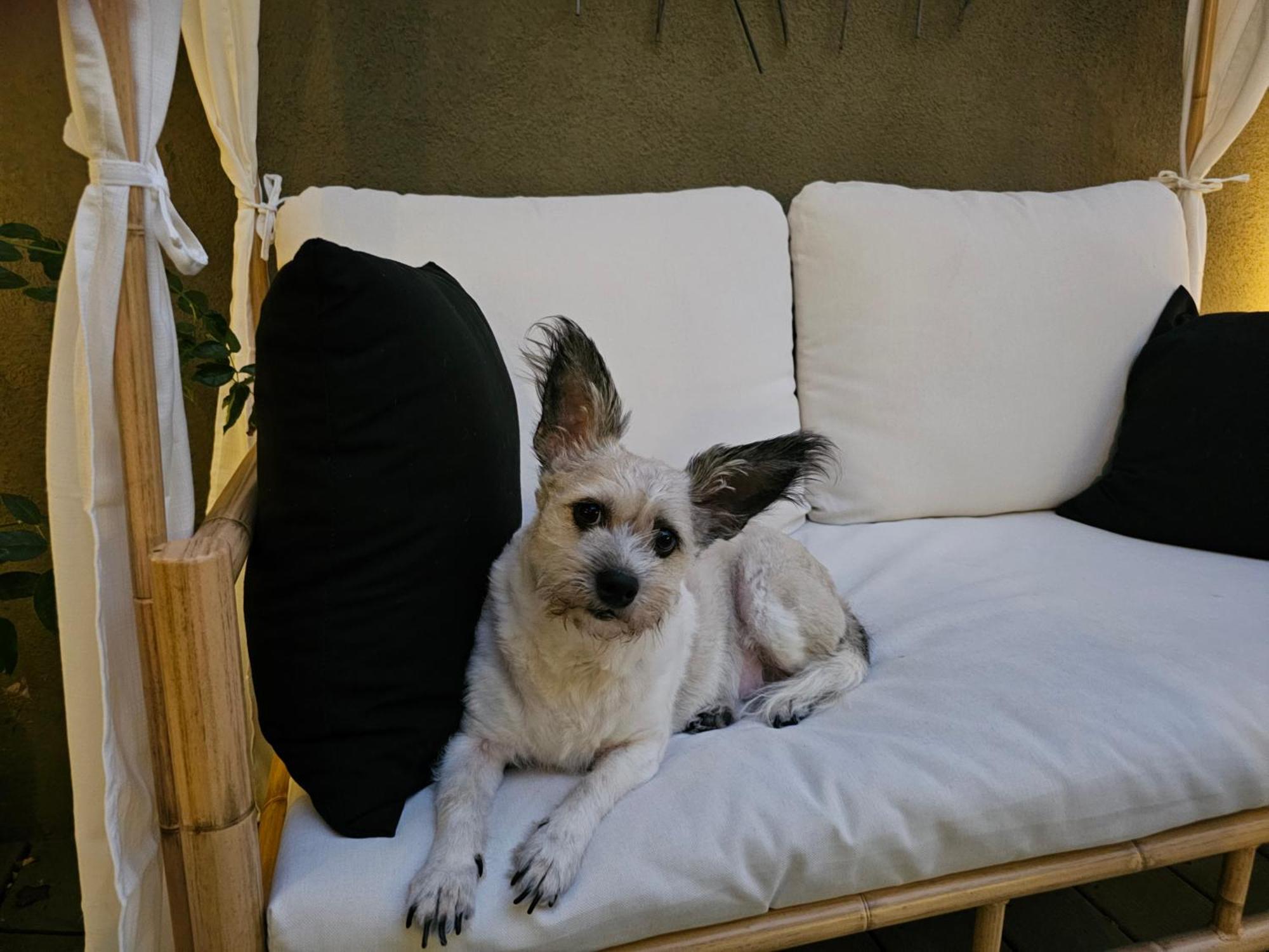 Homestay Tranquility At The House Of Alchemy Hollywood Los Angeles