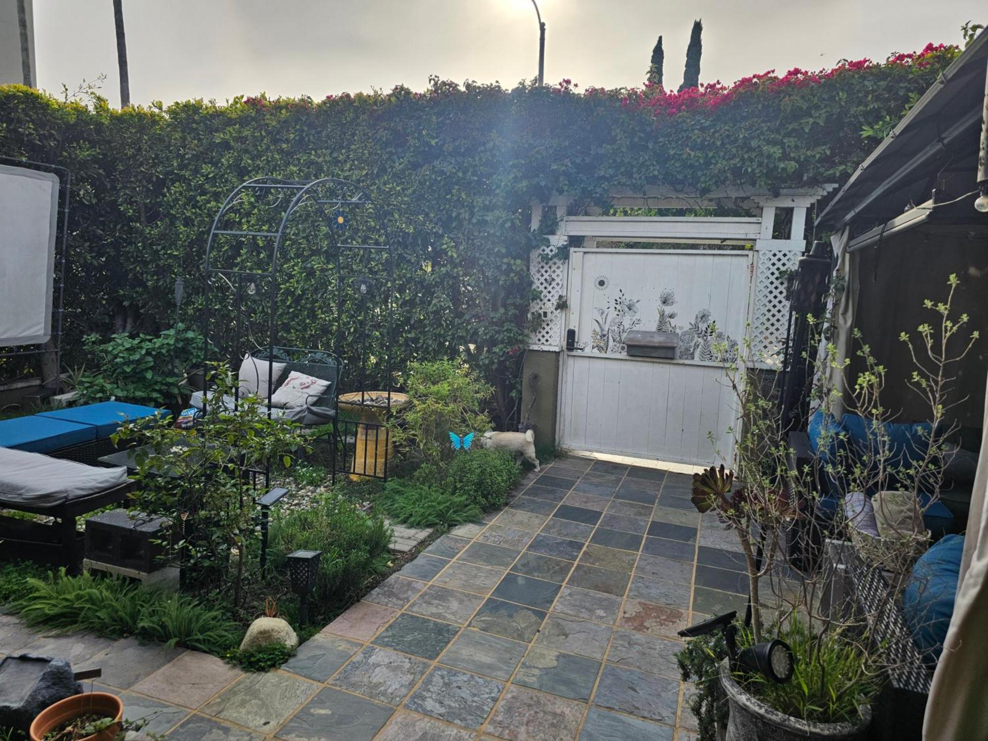 Tranquility At The House Of Alchemy Hollywood *