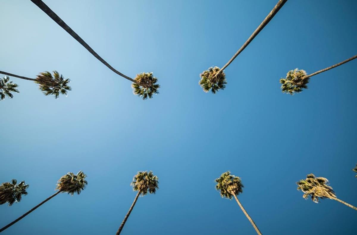 Spacious - Hollywood Pool, Parking, Sauna * Los Angeles